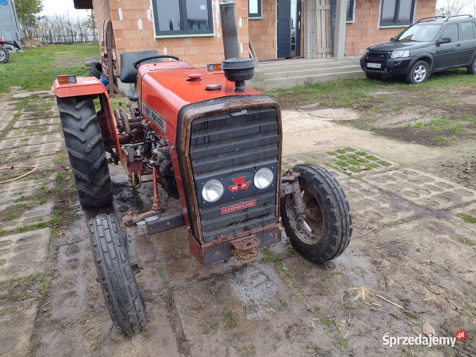 Massey Ferguson 235 autentyczny przebi do Kowalewo Pomorskie sprzedam