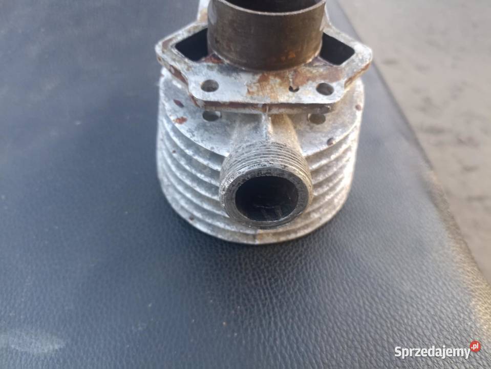 Cylinder zek rys komar zachodniopomorskie Moczkowo