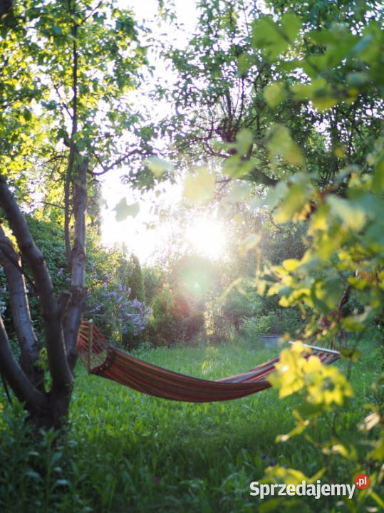 Sprzedam działkę ROD Ursynów