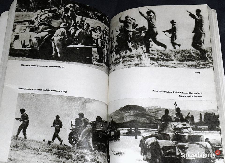 Ankona Witold Biegański sprzedam