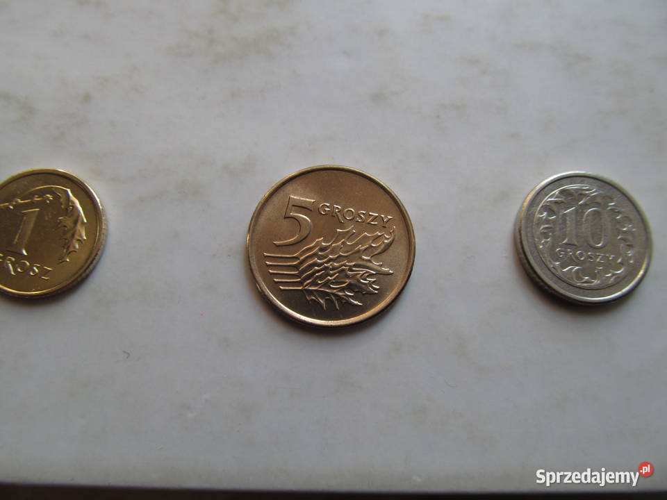 1gr5gr10gr zestaw A Lublin