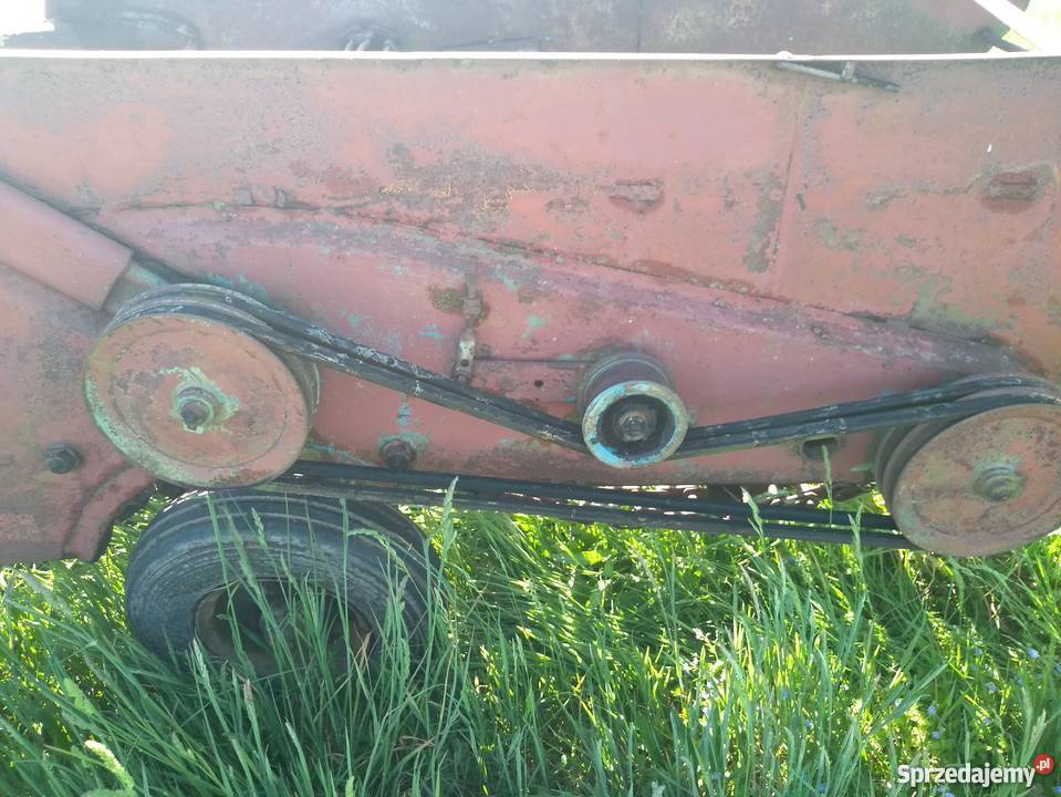 Kopaczka Elewatorowa do ziemniaków