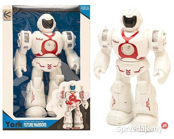 Interaktywny robot z funkcjami dźwiękowymi Poznań