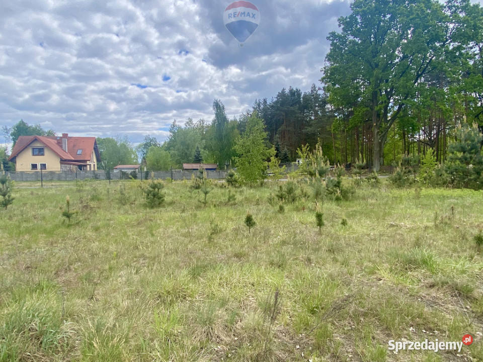 Duża piekna działka Puszczy Słupeckiej polna Sieraków