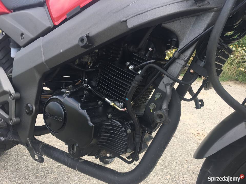 Kymco quannon 125 kat B1