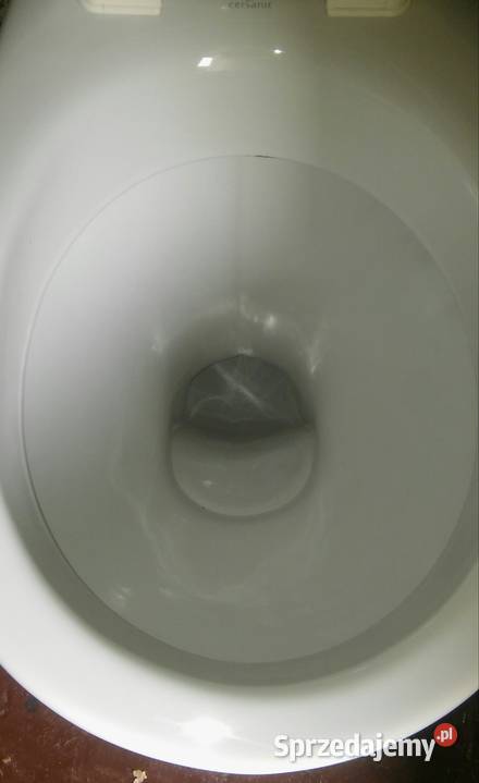 Kompakt wc cersanit biały Goniądz