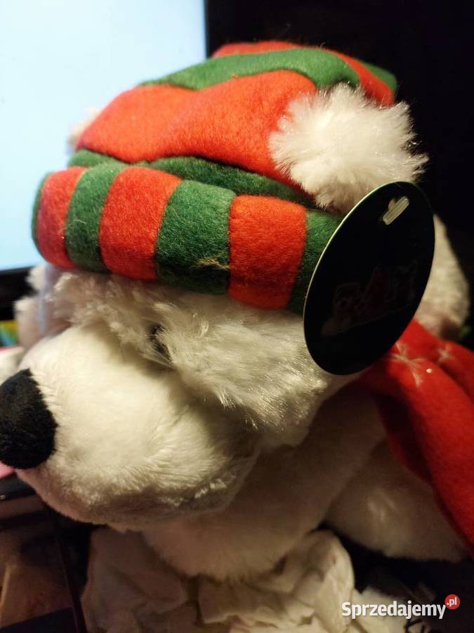 Miś biały w czapce i szaliku dolnośląskie Wrocław