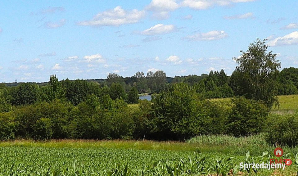 Grunt Rożyńsk Wielki 1100m2 1100m2 sprzedam