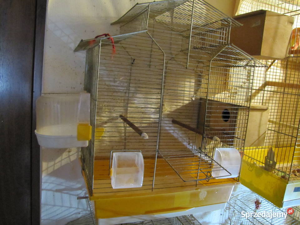 Klatka ptaków Ptaki Toruń