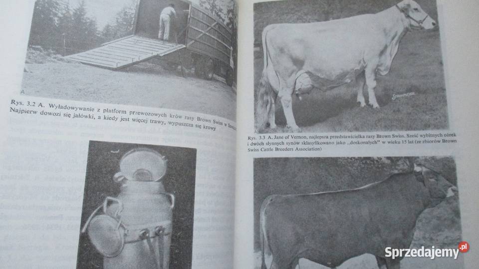 Podstawy produkcji mleka spożywczego i jego rolnictwo, nauki rolnicze Łódź