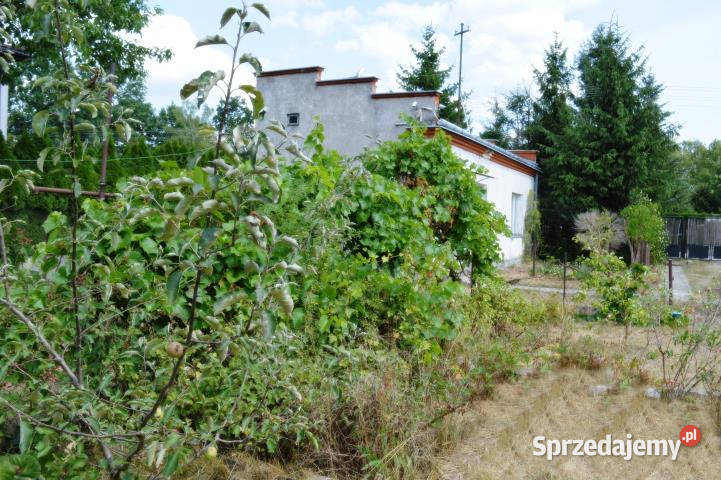 Grunt 860m2 Milanówek Kazimierzowska 30m