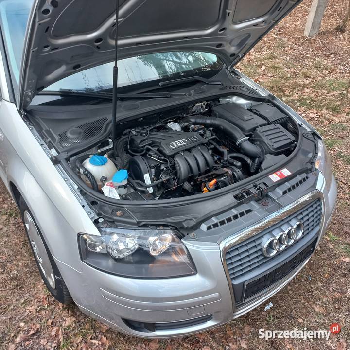 Audi a316 MPI benz bezwypadkowy Zadbane Oryginał 187100km mazowieckie Wyszków
