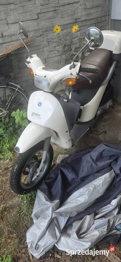 Piaggio Free 50ccm dwusuwowy
