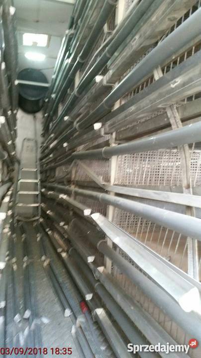 MAN kabina do transportu gołębi Kamienna Góra