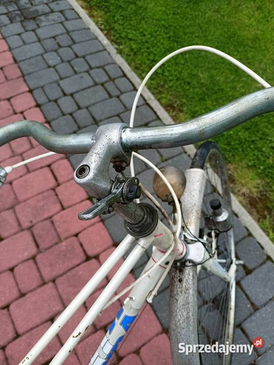 Rower holenderski Pozostałe Gołkowice