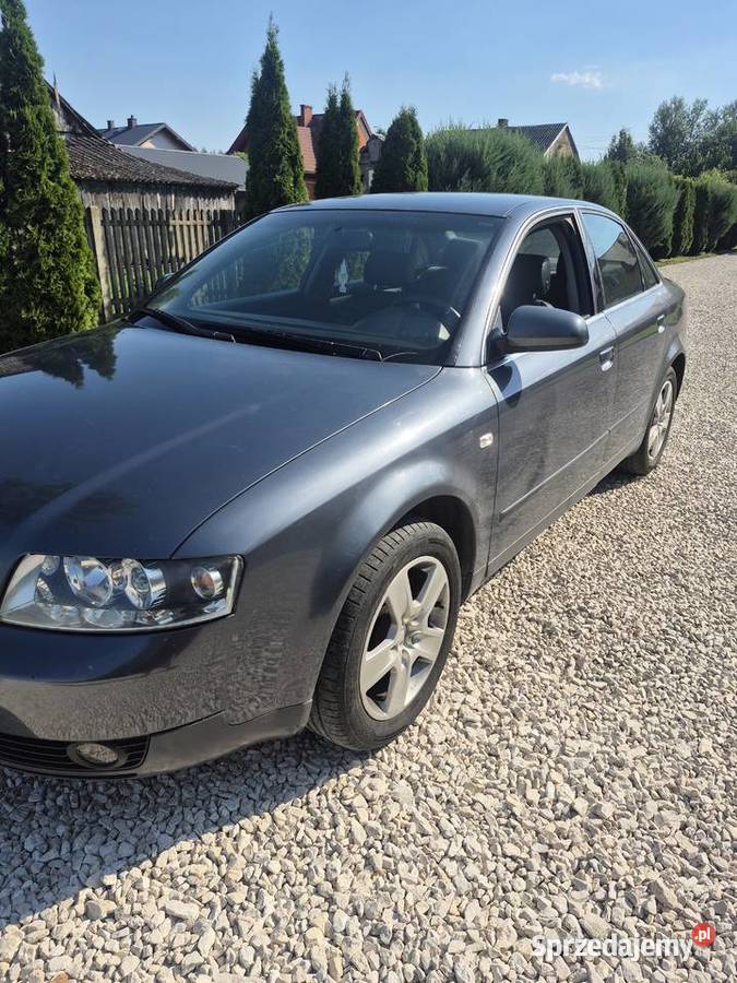 Audi a4b6 Wełnin