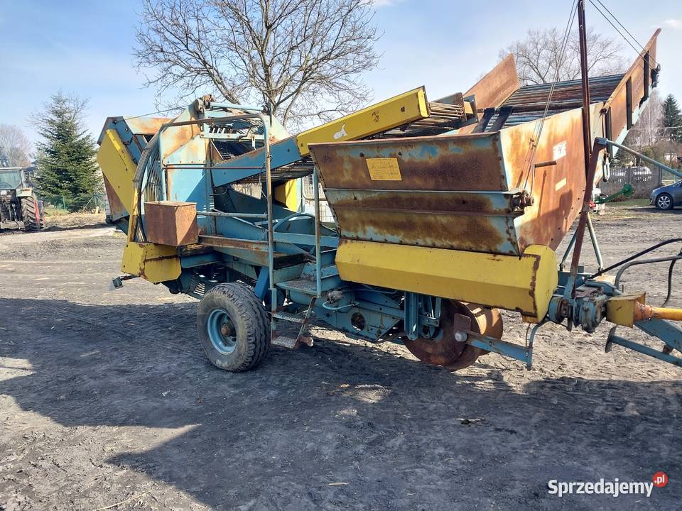 Anna nieuszkodzony Wilczopole-Kolonia