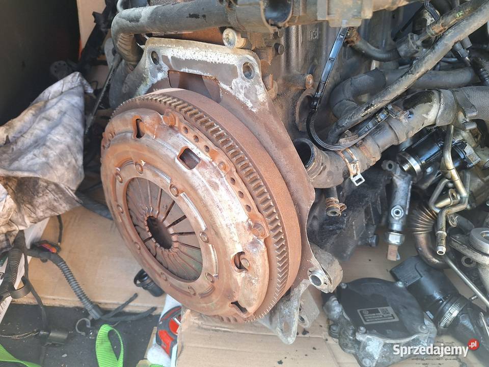 Cześć silnik turbo 16 TDI seat altea zachodniopomorskie Szczecin