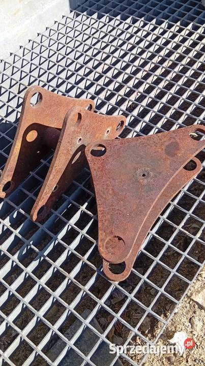 Ramiona tur śląskie