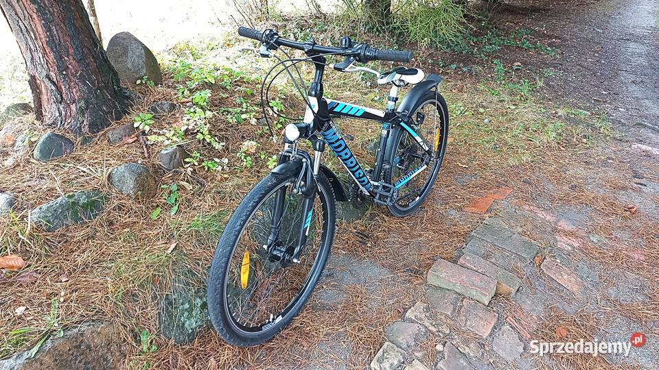 Alu Rower Górski Atb Młodzieżowy Morrison Beaver dolnośląskie Wołów