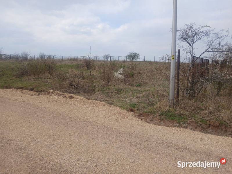 Działka budowlana w Koziegłowach Grunty i działki śląskie Koziegłowy