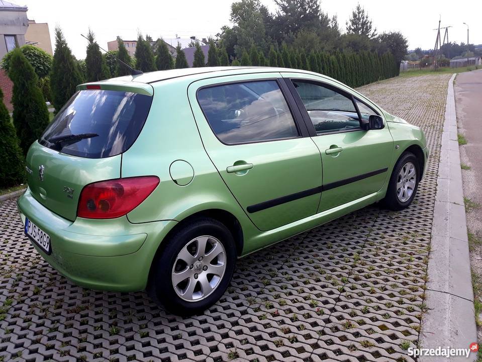 Peugeot 307 2.0HDI Klima 5Drzwi 2001Rok Jasło Sprzedajemy.pl