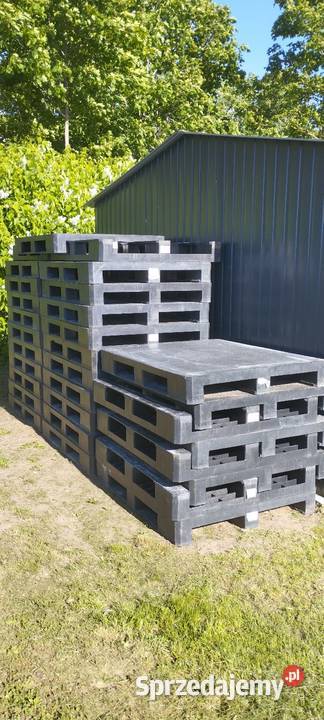Palety plastikowe pełne 120x100 Miłki