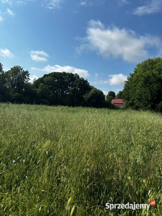 DZIAŁKA ROLNA SIEDLISKOWA ŚWIELUBIE GMINA DYGOWO Sprzedaż