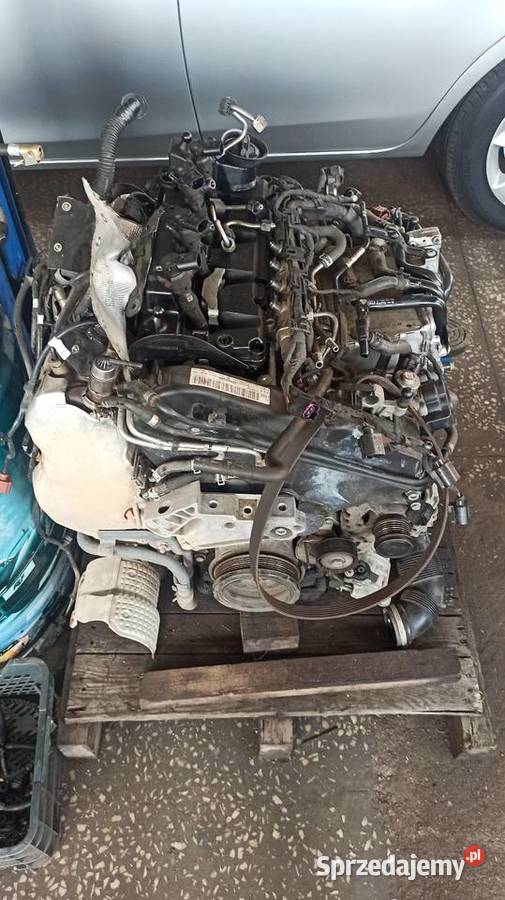 Silnik DGT DGTA 16 TDI vw skoda USZKODZONY Rogów