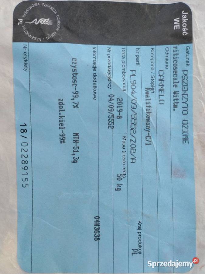 Pszenżyto CARMELO prosto centrali nasiennej lubelskie Radzyń Podlaski sprzedam