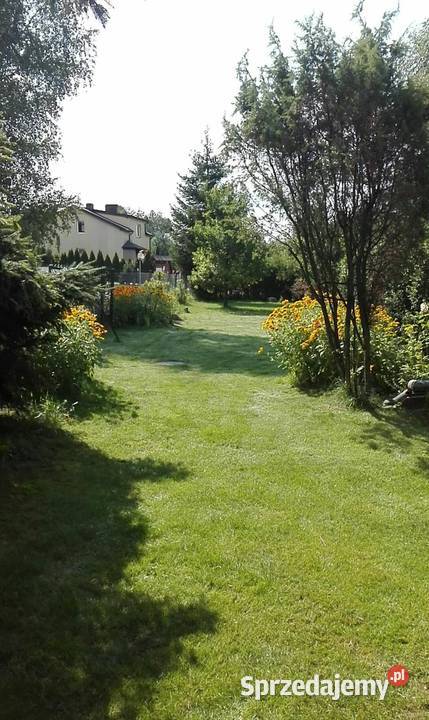 Sprzedam dom do remontu do remontu śląskie Olsztyn