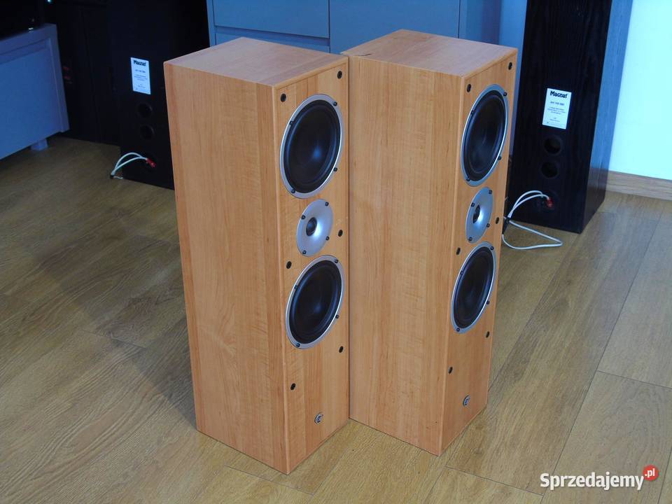 Kolumny Cat 2 x 380 wat ładne DOSTAWA