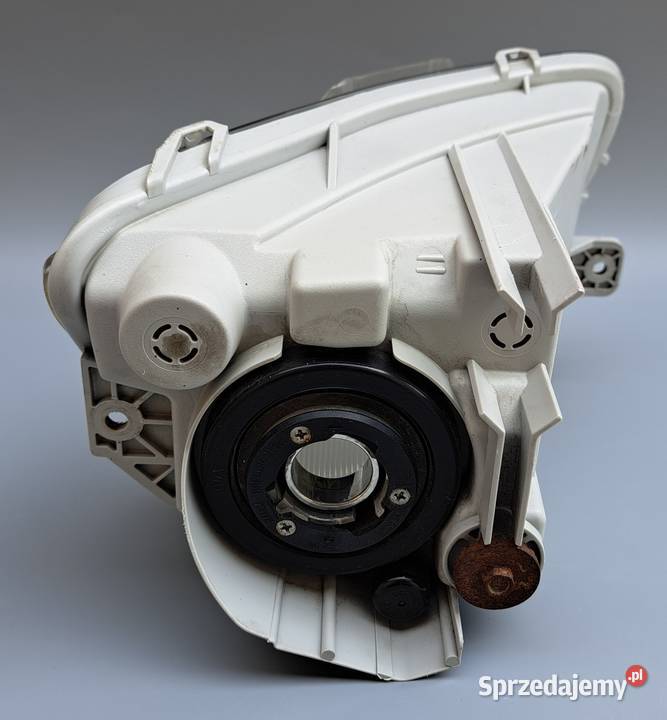 Halogen Prawy Przód Lexus LS460 LS600h IV Mielęcin