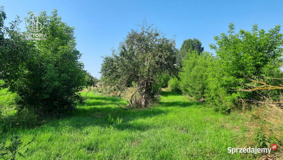sprzedaży działki Boguszewo 4300m