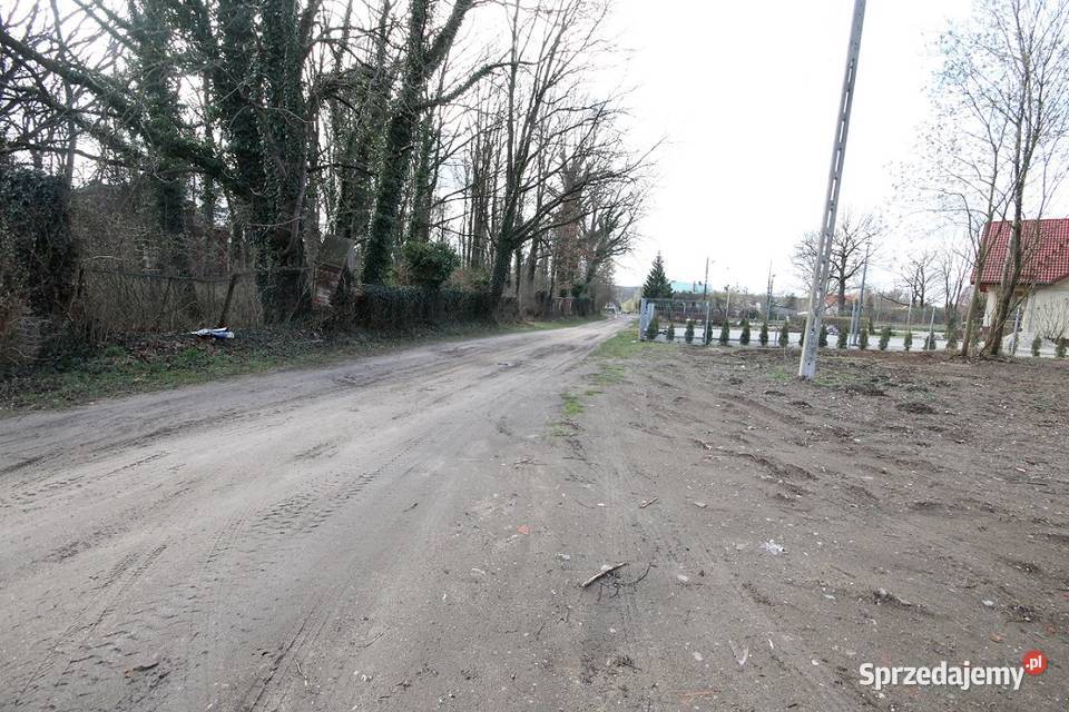 Dz Inwestycyjna 3498 m2 ok Trzebnickiej MEDIA dolnośląskie Wilczyn