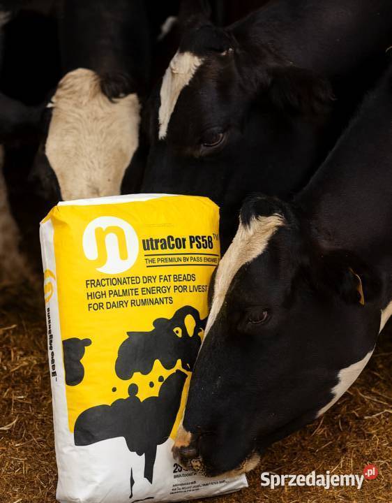 Tłuszcz paszowy palmowy trójglicerydy dla krów bydła NutreaCor PS85