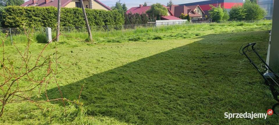 Koszenie nieużytków czyszczenie działek usługi Pielęgnacja ogrodów i trawników Pruszków