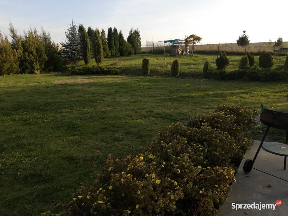 Dom z duża działka 2800m2 Sprzedaż Krężoły