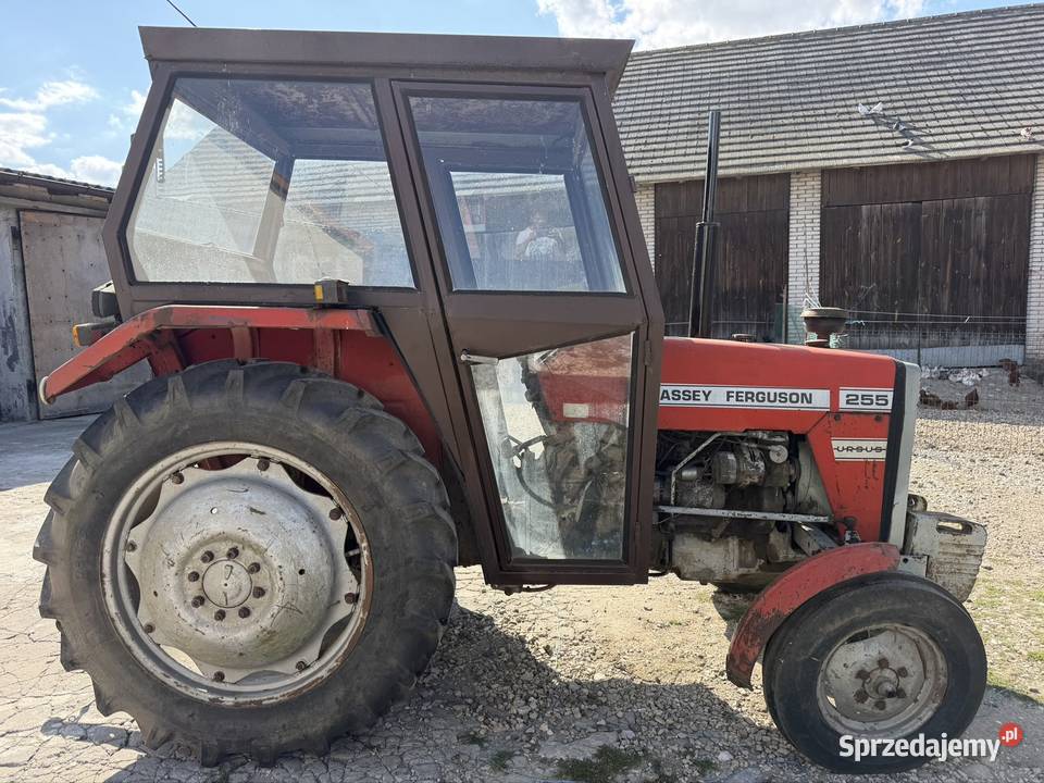 Massey Ferguson 255 Wiślica