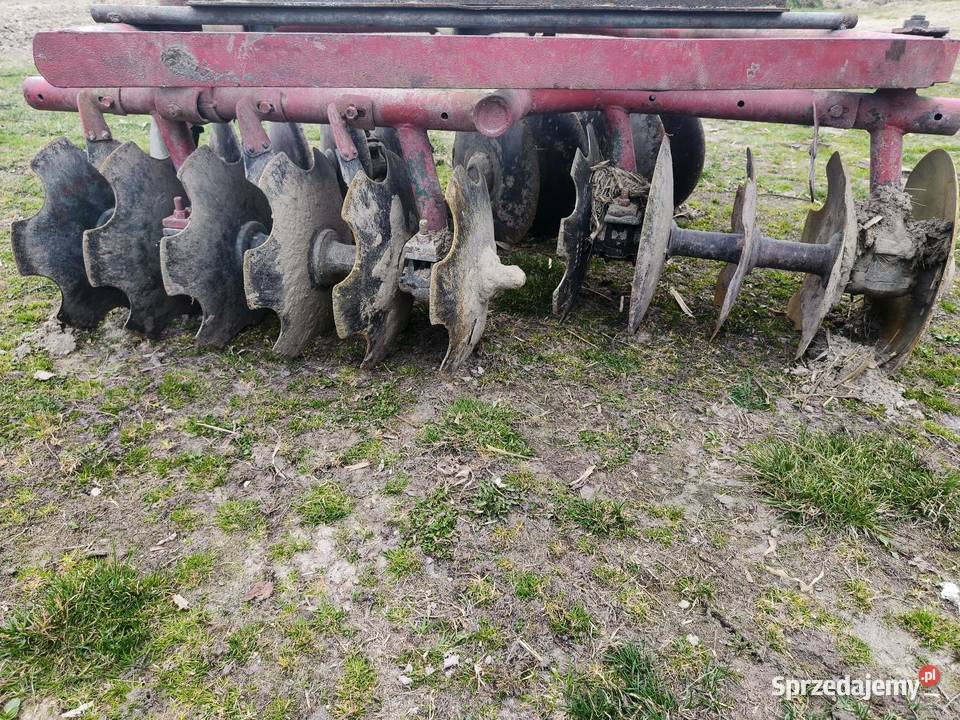 Brona talerzowa Unia Grudziądz Brony Tomaszów Lubelski