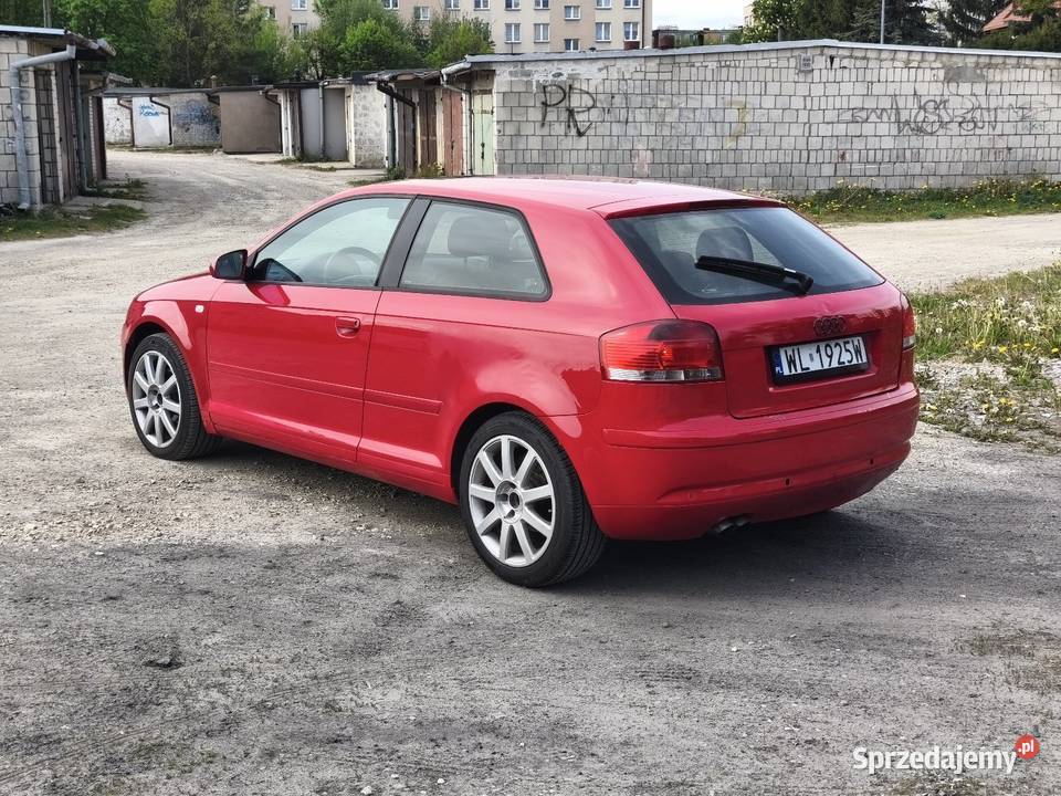 Audi A3 8P 20 TDI 140 Koni Bogate wyposażenie szyberdach Audi Łuków sprzedam