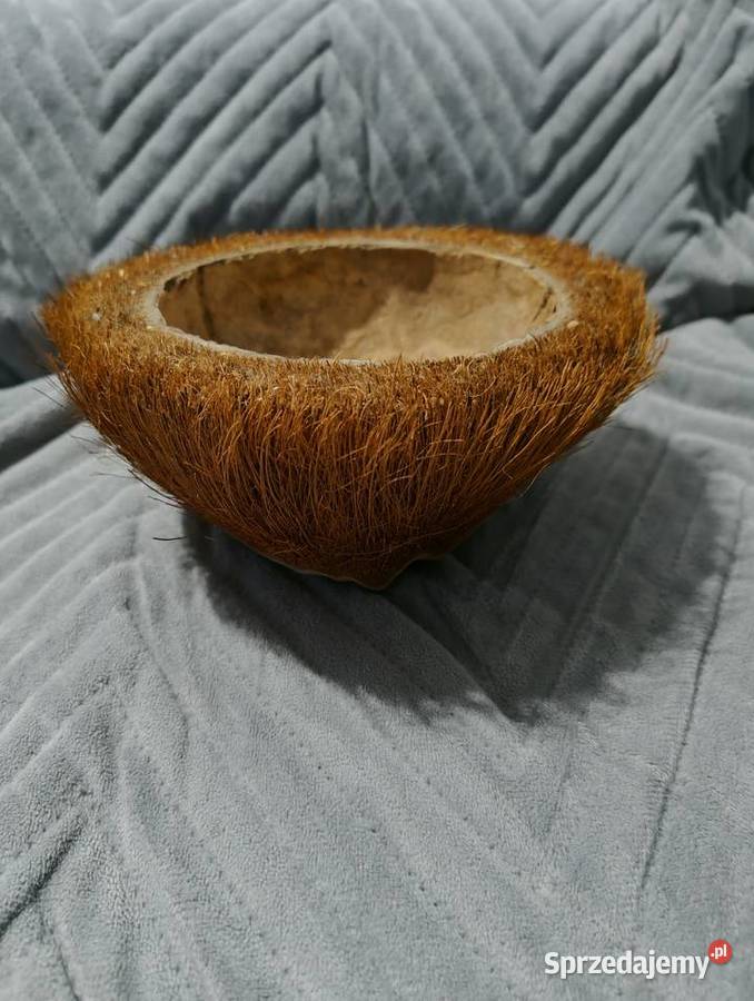 Donica z orzecha kokosowego Donice ogrodowe Poznań
