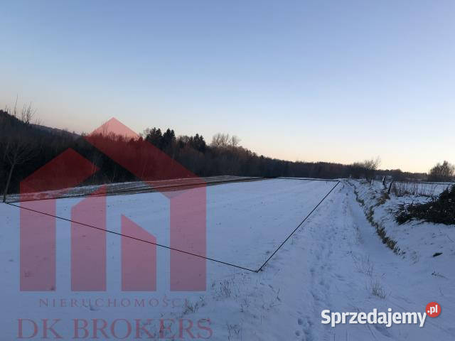 Grunt 2800m2 Zagorzyce 135m