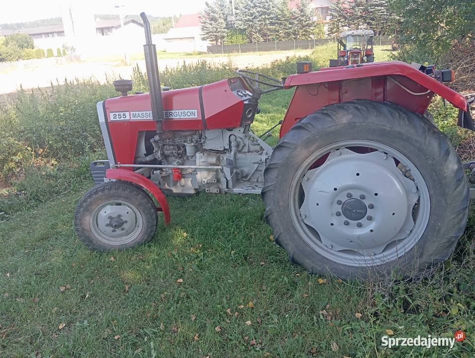 Massey Ferguson 255 małopolskie Bobowa