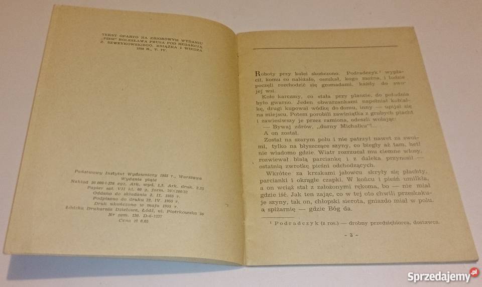 Bolesław Prus Michałko Książka śląskie Rogoźnik sprzedam