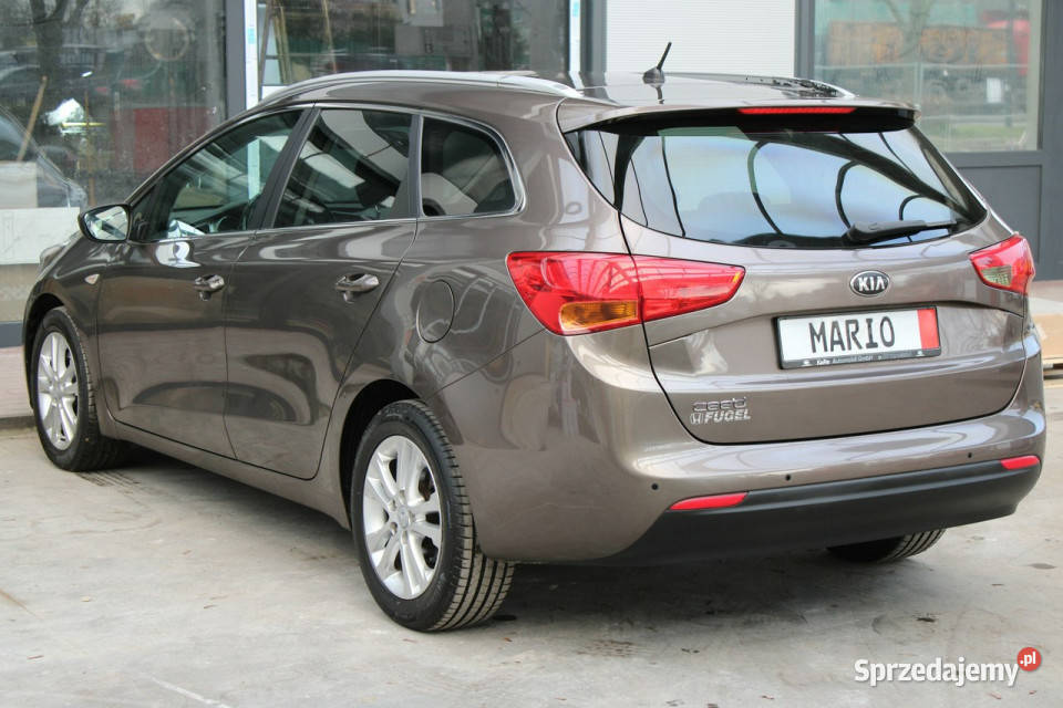 Kia Ceed PREMIUMOrglakierMaly przebiegSuper śląskie Gliwice sprzedam