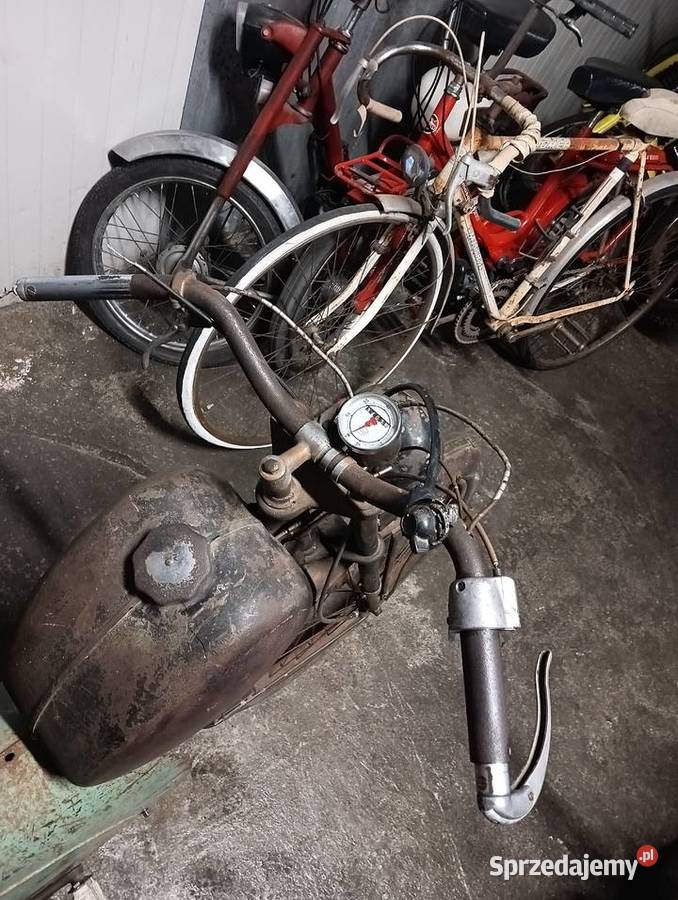 Alcyon typ 650 kujawsko-pomorskie Gostycyn