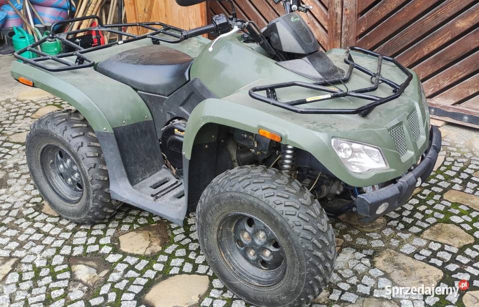 Arctic Cat