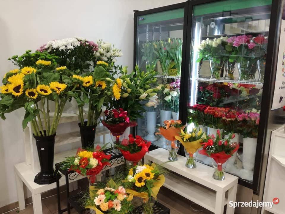 Szafa chłodnicza RAPA SCh2SR1600 2N Lodówki i zamrażarki Tarnowskie Góry