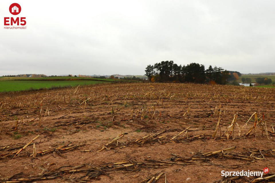 Działka 12000m2 Żegary 31zł/m2 sprzedam